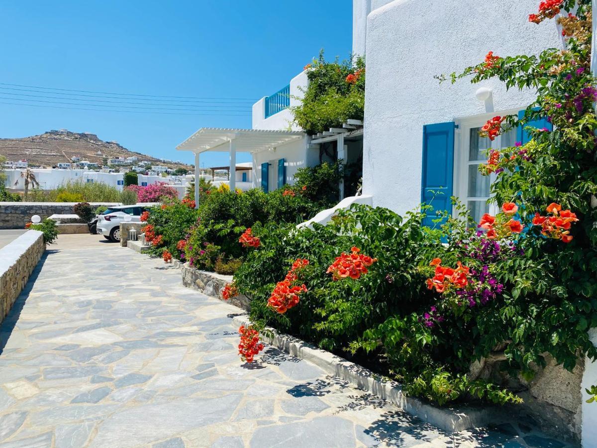 Cyclades Blue Aparthotel Ornos  Bagian luar foto